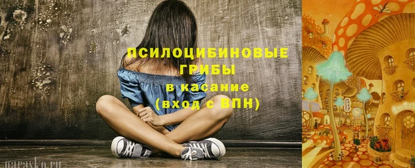 гидропоника Белоозёрский
